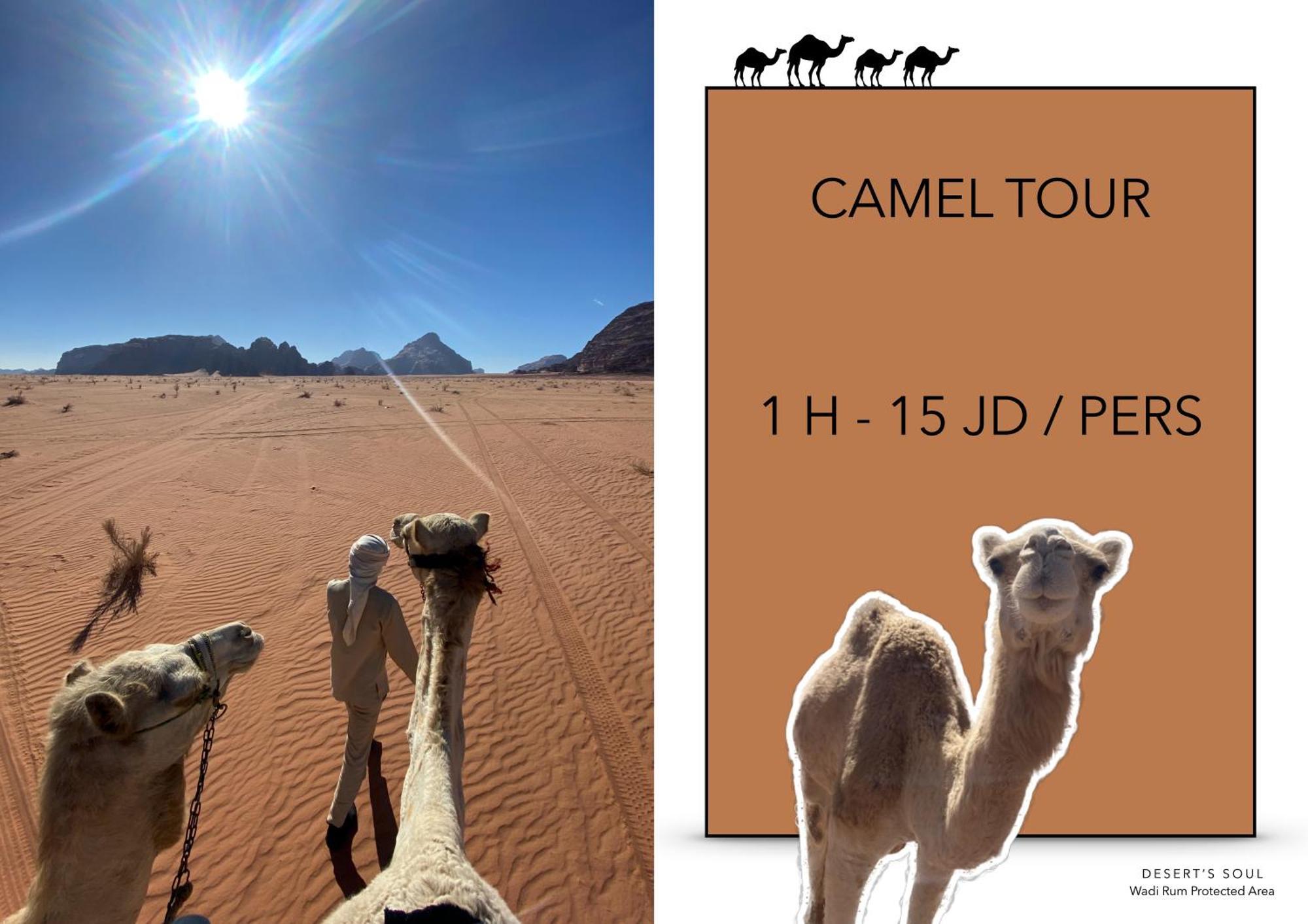 Desert'S Soul Wadi Rum Ad Disah 외부 사진