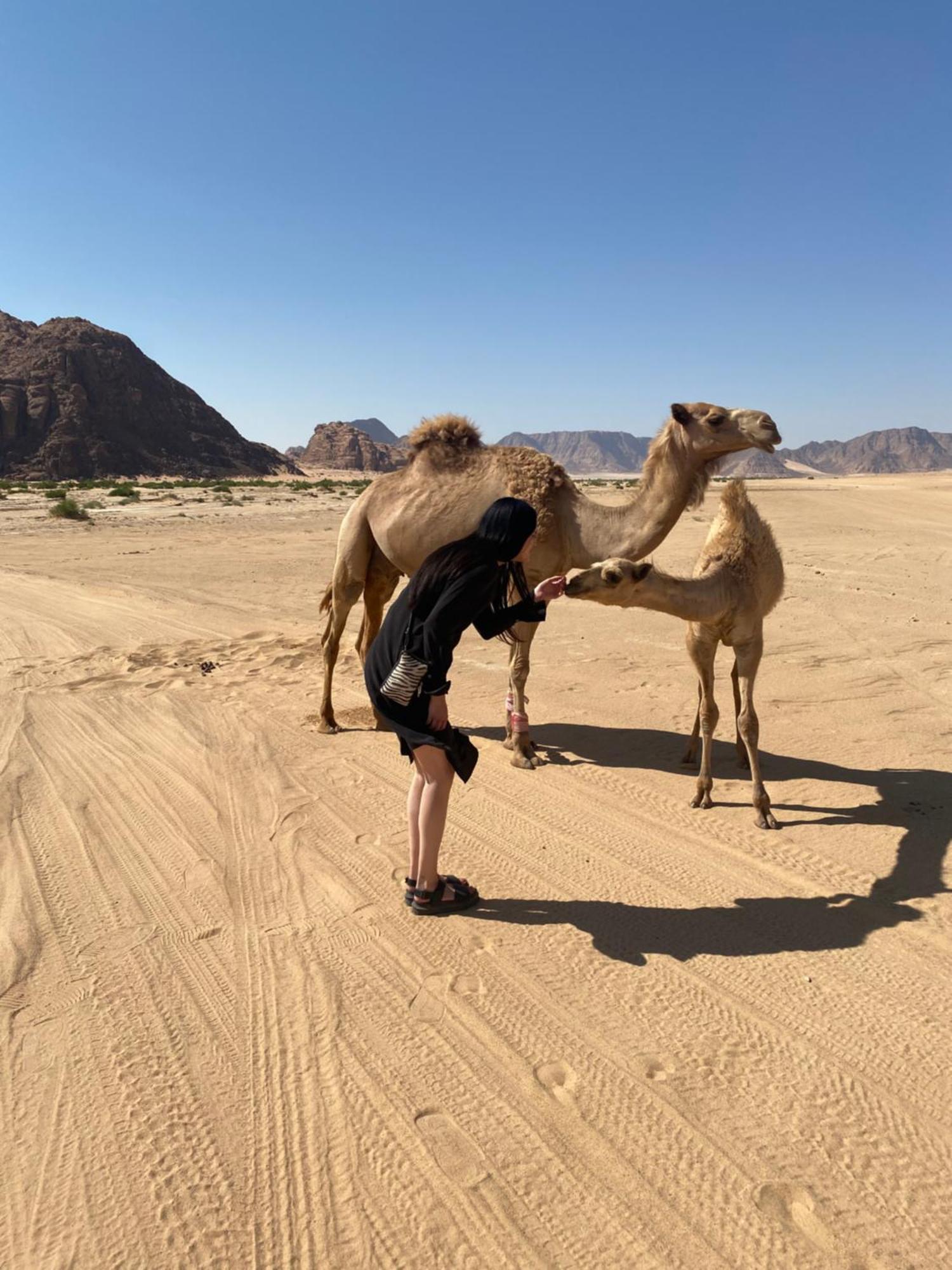 Desert'S Soul Wadi Rum Ad Disah 외부 사진